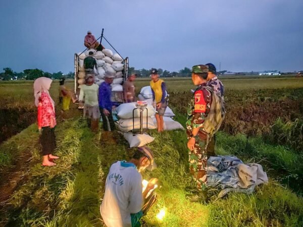 Catatan Atas Penolakan Bulog Menyerap Gabah Petani