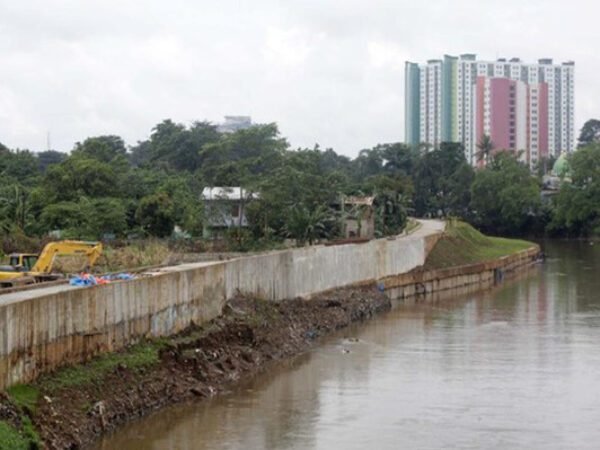 Lebih dari Satu Dekade Mangkrak, Normalisasi Kali Ciliwung Belum Tuntas: Mengapa Negara Terlihat Vakum?