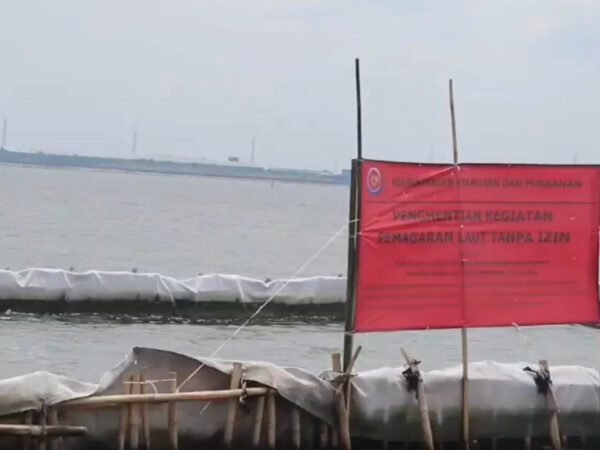 Pemprov Banten Bongkar Pagar Laut di Pesisir Tangerang, Dukung Aktivitas Nelayan