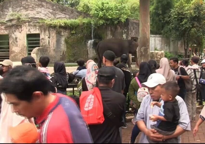 Tips Aman Berwisata ke Ragunan: Waspadai Pencopetan yang Merajalela di Hari Raya