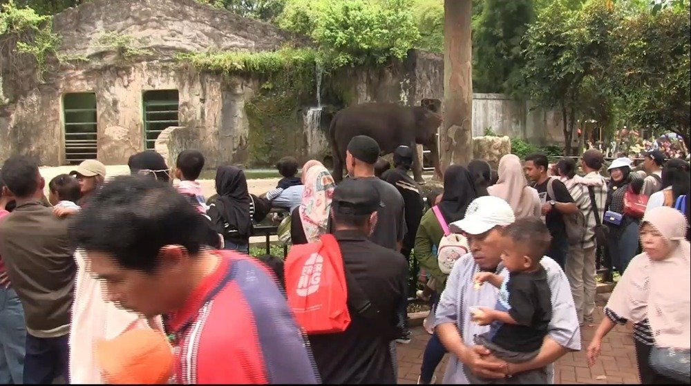 Tips Aman Berwisata ke Ragunan: Waspadai Pencopetan yang Merajalela di Hari Raya