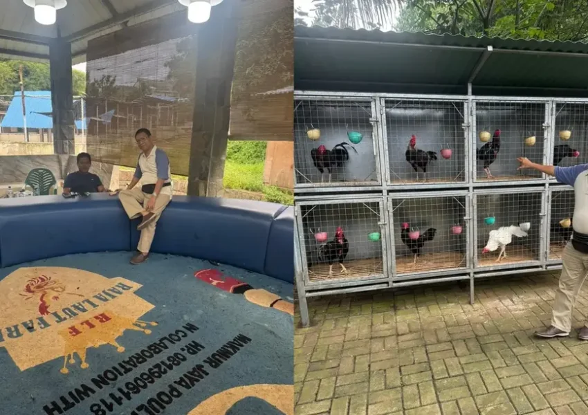 H. M Idris Bantah Tuduhan Judi Sabung Ayam, Tegaskan Raja Laut Farm Peternakan Legal