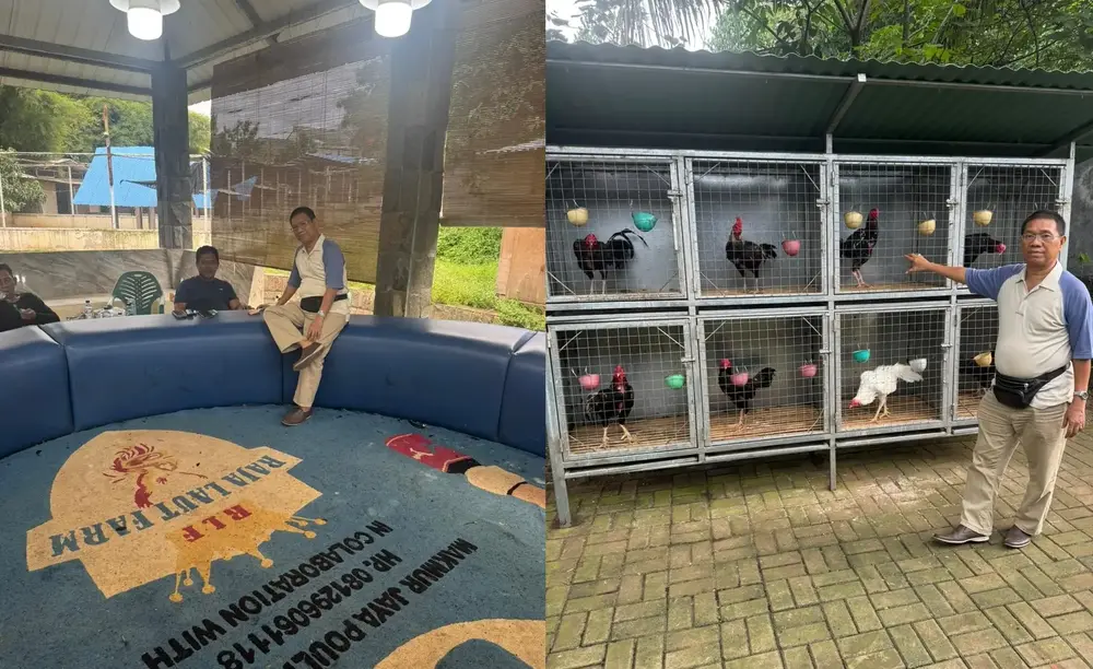 H. M Idris Bantah Tuduhan Judi Sabung Ayam, Tegaskan Raja Laut Farm Peternakan Legal