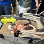 Bobby Kertanegara Curi Perhatian di Petfest Indonesia 2025