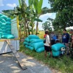 BULOG Tegaskan Penyerapan Gabah dan Beras Tetap Berjalan, dengan Skema Komersial