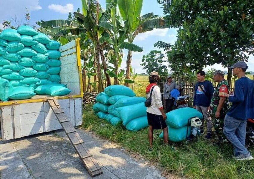 BULOG Tegaskan Penyerapan Gabah dan Beras Tetap Berjalan, dengan Skema Komersial