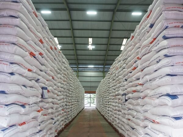 Bulog Terancam Rugi Besar: Stok Melimpah, Penyaluran Seret