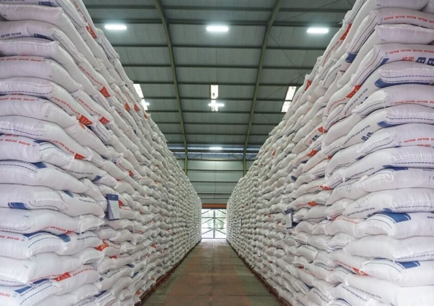 Surplus Beras Melimpah, Indonesia Siap Ekspor ke Malaysia