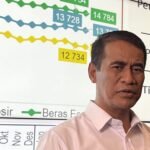 Stok Beras Rekor Tertinggi, Tapi Harga Justru Melonjak, Apa yang Terjadi?