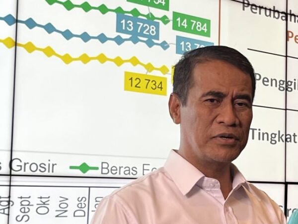 Stok Beras Rekor Tertinggi, Tapi Harga Justru Melonjak, Apa yang Terjadi?