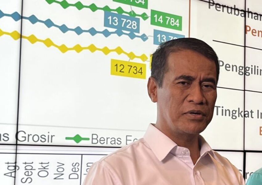 Stok Beras Rekor Tertinggi, Tapi Harga Justru Melonjak, Apa yang Terjadi?