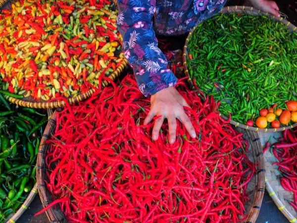 Harga Pangan per 2 Juni 2025: Cabai Rawit Melonjak, Bawang Merah Turun