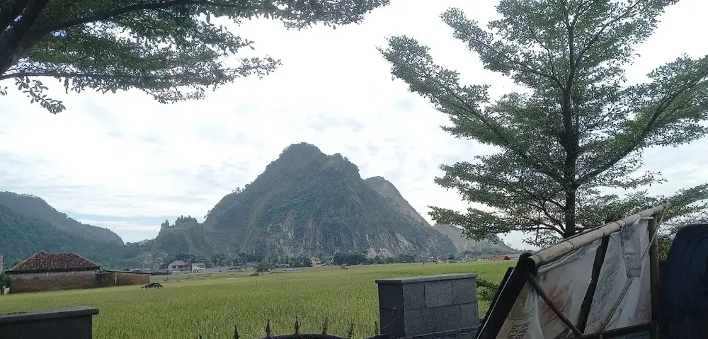 Gunung Kuda Runtuh, 25 Tewas: Izin Tambang Longgar, Negara Datang Terlambat