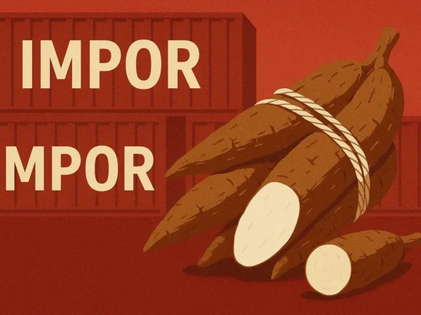 Ironi Swasembada Pangan: Banyak Bicara, Singkong Tetap Impor