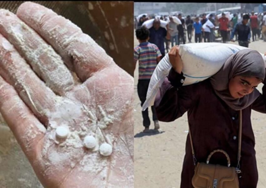 Israel Diduga Campur Narkoba dalam Bantuan Tepung untuk Warga Gaza