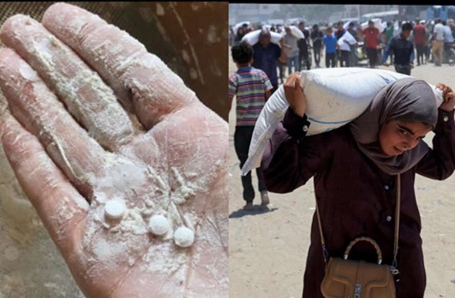 Israel Diduga Campur Narkoba dalam Bantuan Tepung untuk Warga Gaza