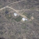 Taman Nasional Tesso Nilo Menyusut Drastis Akibat Perkebunan Sawit Ilegal