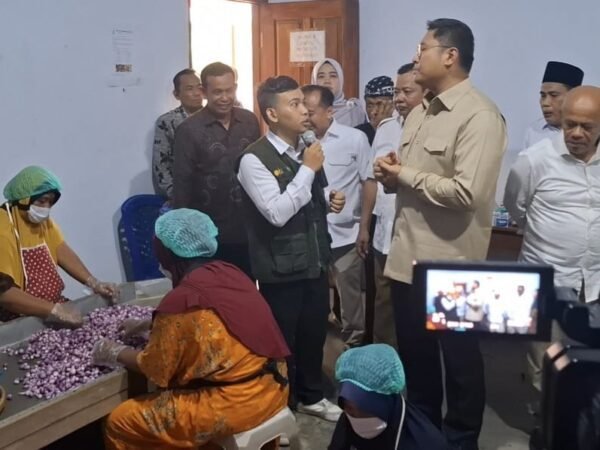 Sudaryono: Kopdes Bawang Merah di Brebes Jadi Contoh Nasional Jelang Peresmian Presiden