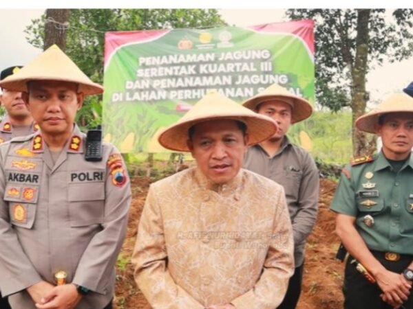 Tanam Jagung di Lahan Perhutanan Sosial, Polres dan Petani Wonosobo Perkuat Ketahanan Pangan