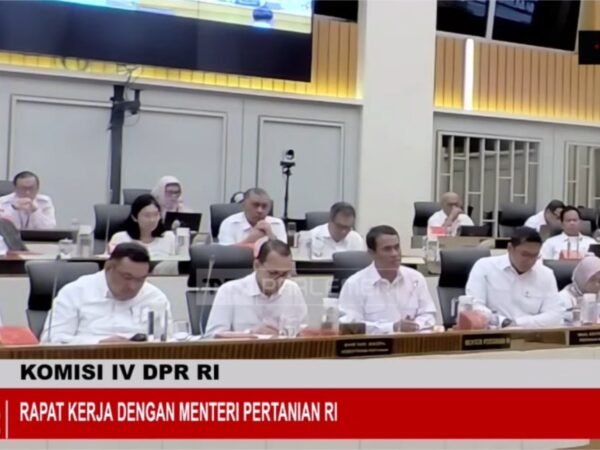 Mentan Pastikan Stok Beras Lama Tak Akan Diedarkan Jika Tak Layak Konsumsi