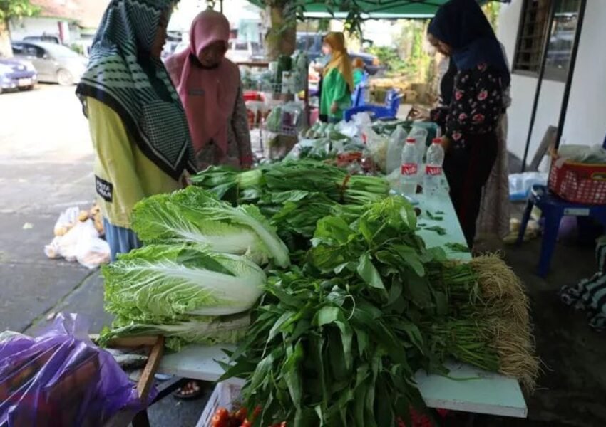 Pasar Tani Jumpa DKPPP Temanggung Kembali Digelar, Jembatani Petani Lokal dan Konsumen