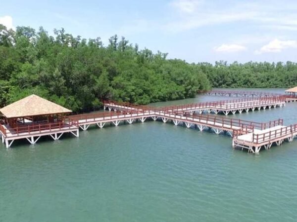 Pulau Handeuleum di Ujung Kulon Ditutup Sementara September–Oktober Demi Pelestarian Badak Jawa