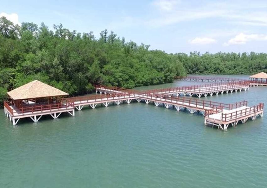 Pulau Handeuleum di Ujung Kulon Ditutup Sementara September–Oktober Demi Pelestarian Badak Jawa