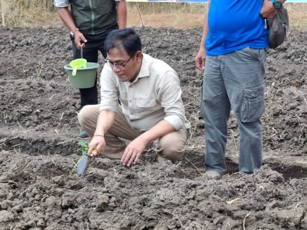 Budiman Sudjatmiko Ingatkan Bahaya Ketergantungan Bantuan Pemerintah