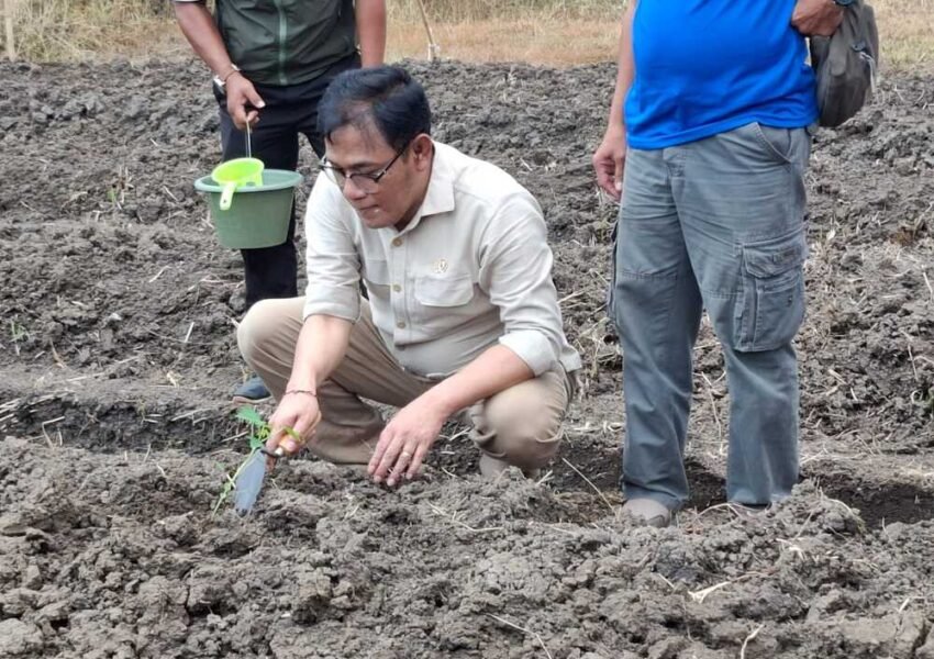Budiman Sudjatmiko Ingatkan Bahaya Ketergantungan Bantuan Pemerintah