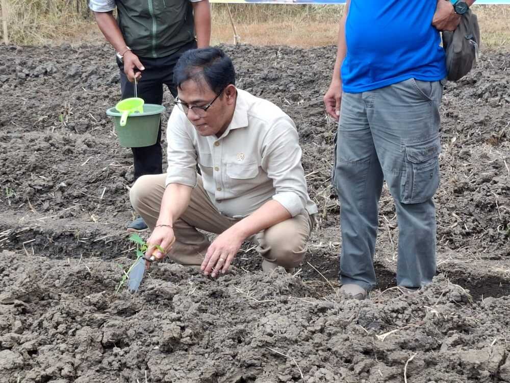 Budiman Sudjatmiko Ingatkan Bahaya Ketergantungan Bantuan Pemerintah