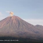 Waspada! Semeru Erupsi Kolom Abu Capai 1 Km
