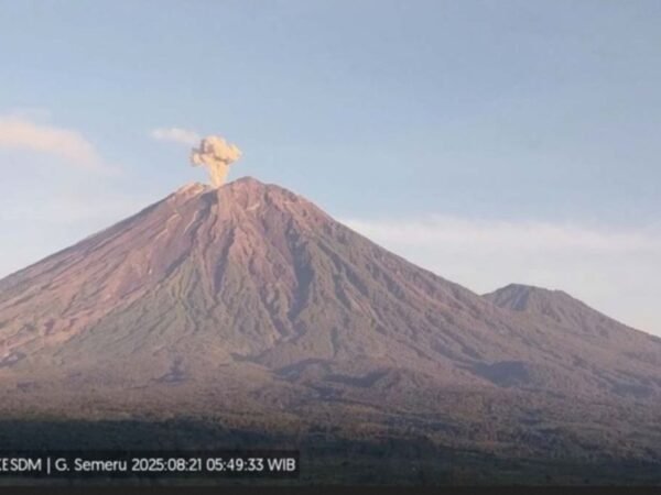 Waspada! Semeru Erupsi Kolom Abu Capai 1 Km