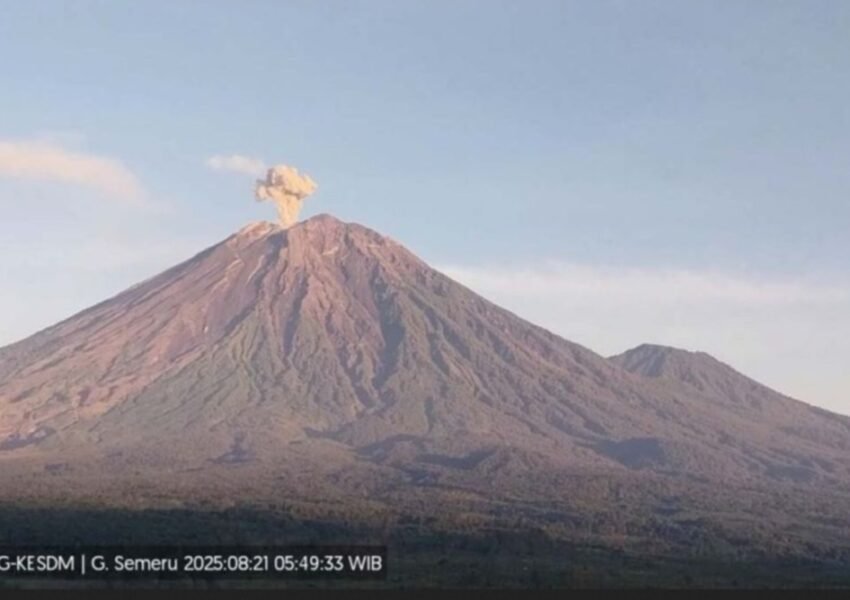 Waspada! Semeru Erupsi Kolom Abu Capai 1 Km
