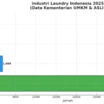 Bisnis Laundry Makin Kinclong, Kementerian UMKM: Sudah Serap 34 Ribu Pekerja