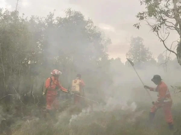 Menteri LHK Minta Kalsel Cabut Perda yang Izinkan Pembakaran Lahan 2 Hektare