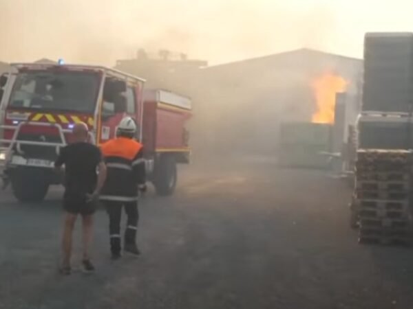 Kebakaran Hutan Terbesar dalam 76 Tahun, 16.000 Hektare Lahan di Prancis Ludes Dilalap Api