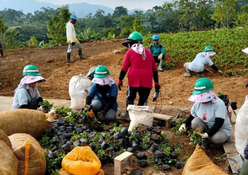 Ancaman Penutupan Eiger Adventure Land, Warga Bogor Cemas Kehilangan Mata Pencaharian
