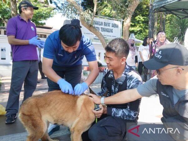 DKP3 Temanggung Gelar Vaksinasi Rabies Gratis 2025, Target 350 Hewan