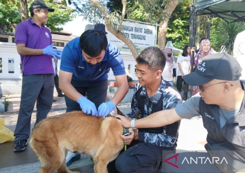 DKP3 Temanggung Gelar Vaksinasi Rabies Gratis 2025, Target 350 Hewan