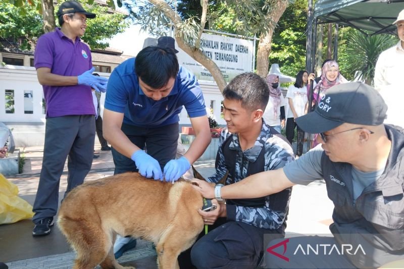 DKP3 Temanggung Gelar Vaksinasi Rabies Gratis 2025, Target 350 Hewan