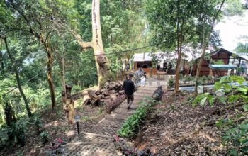 Ekowisata Jadi Jalan Baru Pariwisata Indonesia