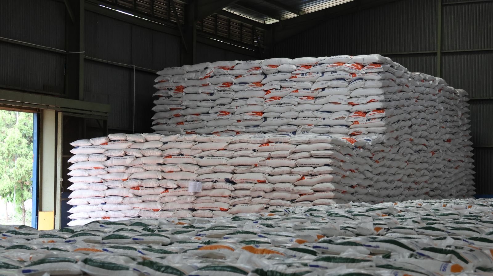 Stok Beras Rekor, Harga Tetap Melonjak: Siapa Salah Hitung?