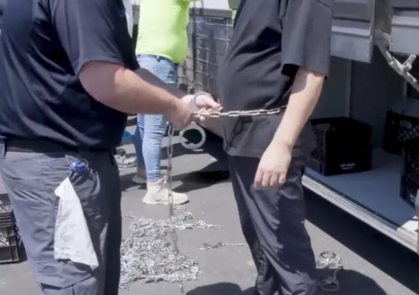 WNI Ikut Terjaring Razia Imigrasi di Pabrik Hyundai AS Kantongi Dokumen Resmi