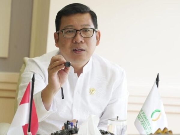 Prabowo Copot Arief Prasetyo, Tunjuk Amran Sulaiman Pimpin Bapanas