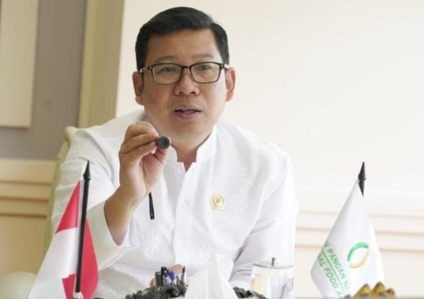 Prabowo Copot Arief Prasetyo, Tunjuk Amran Sulaiman Pimpin Bapanas