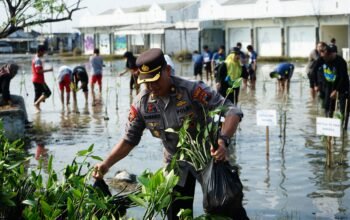 Dukung Gerakan Mageri Segoro, Ribuan Pohon Mangrove Ditanam Serentak di Jawa Tengah