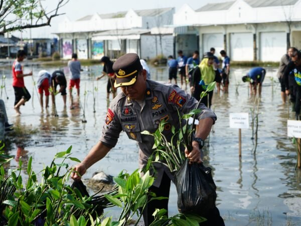 Dukung Gerakan Mageri Segoro, Ribuan Pohon Mangrove Ditanam Serentak di Jawa Tengah