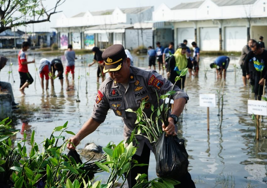 Dukung Gerakan Mageri Segoro, Ribuan Pohon Mangrove Ditanam Serentak di Jawa Tengah