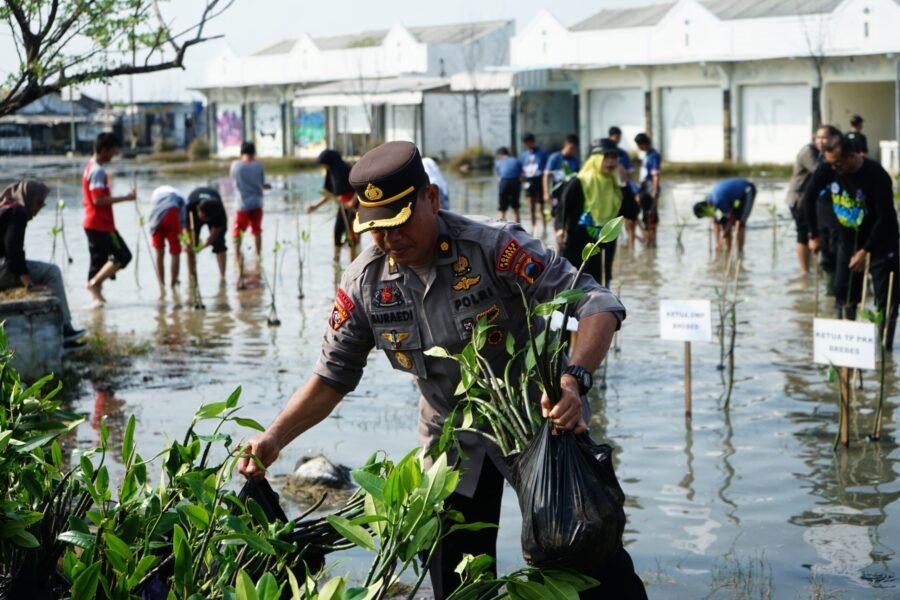 Dukung Gerakan Mageri Segoro, Ribuan Pohon Mangrove Ditanam Serentak di Jawa Tengah