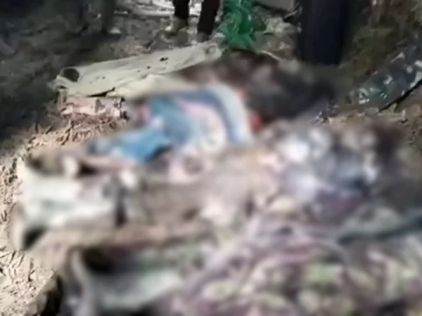 Panglima OPM Lamek Alipky Taplo Tewas Ditembak TNI di Kiwirok, Papua Pegunungan